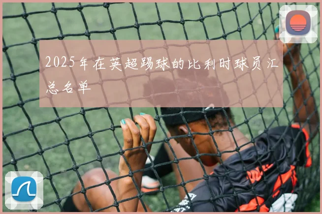 2025年在英超踢球的比利时球员汇总名单