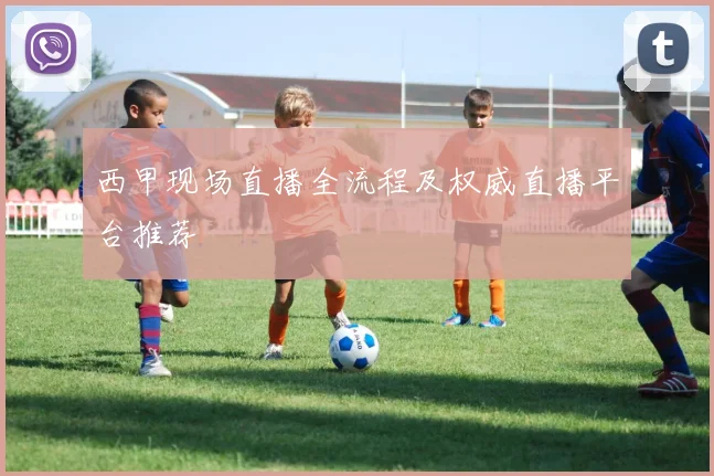 西甲现场直播全流程及权威直播平台推荐